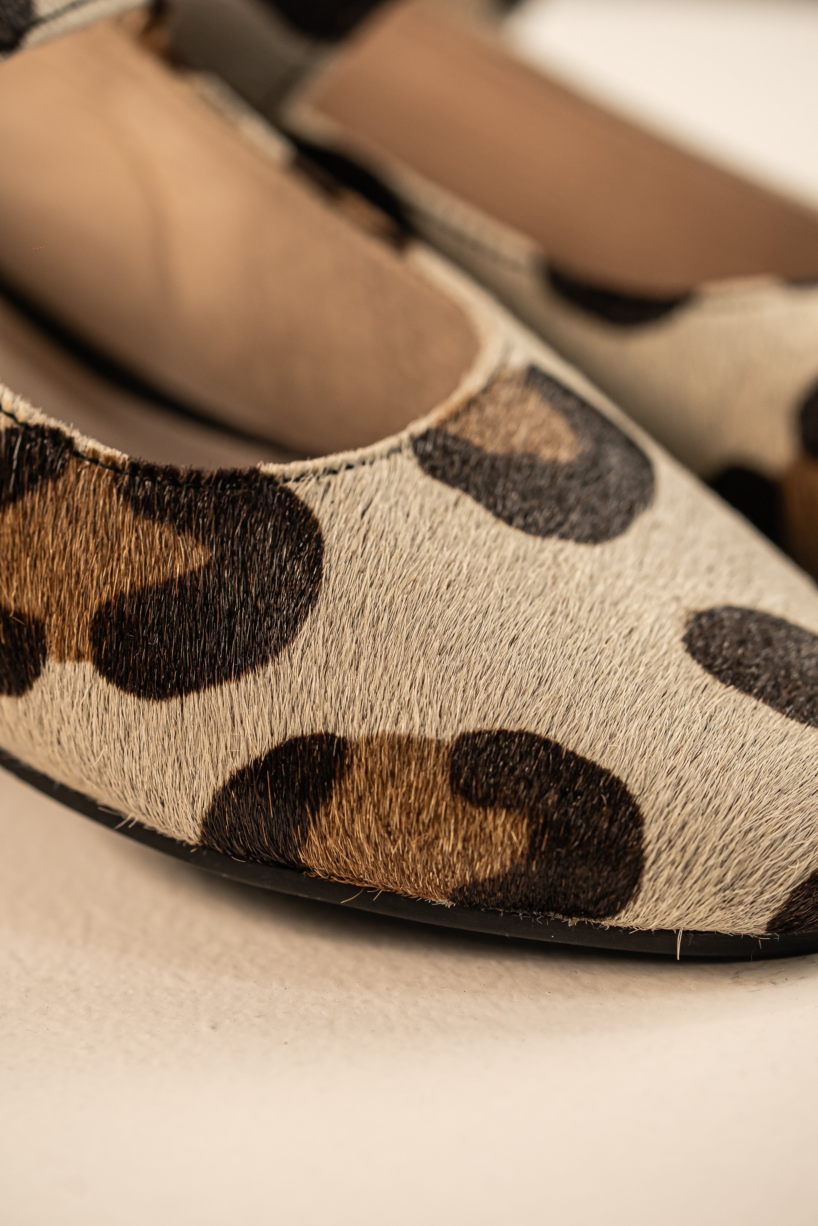 Baleta Mary Jane Felina