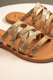 Sandalia Gladiador Snake Shine