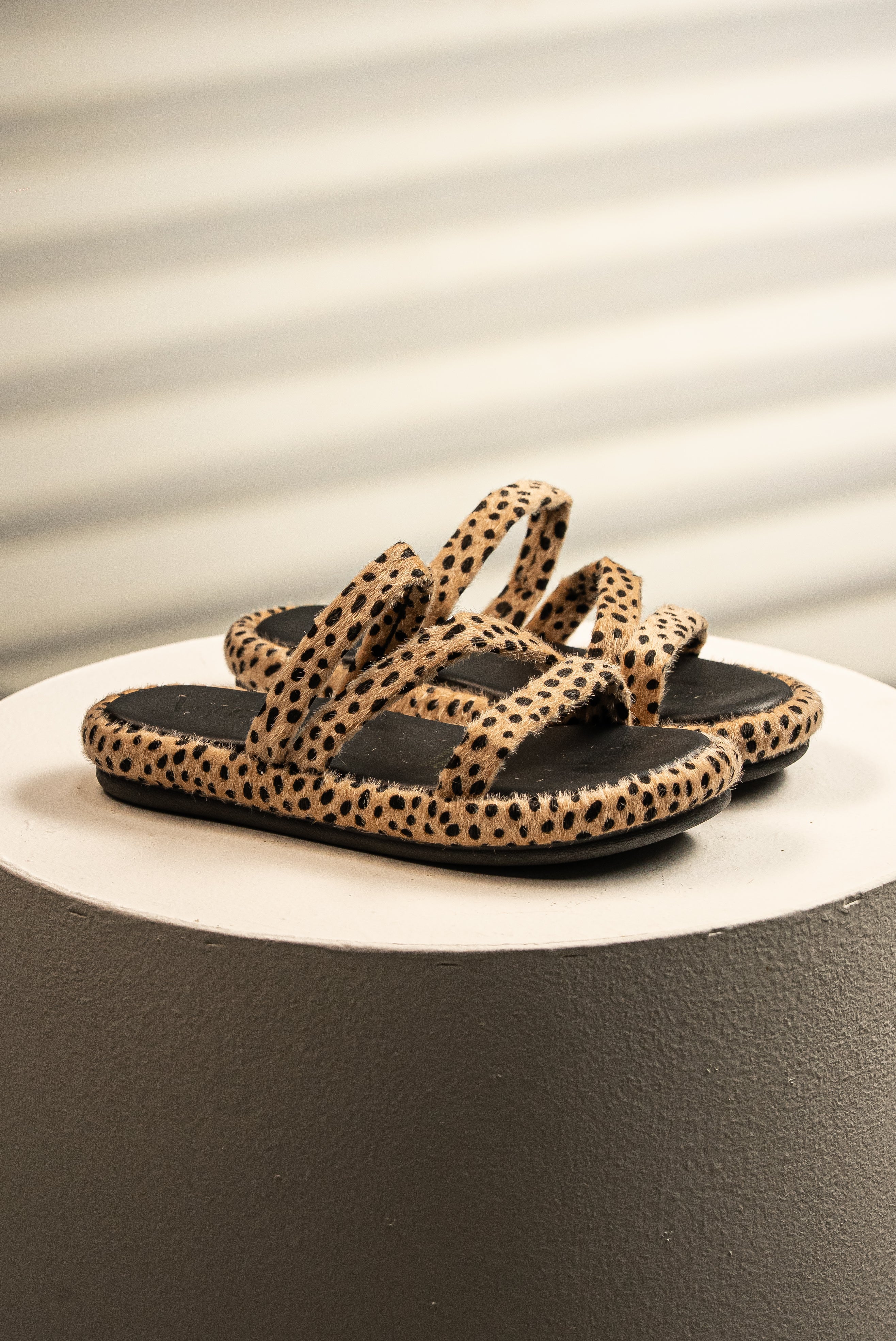 Sandalia Feline Strappy