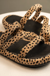 Sandalia Feline Strappy